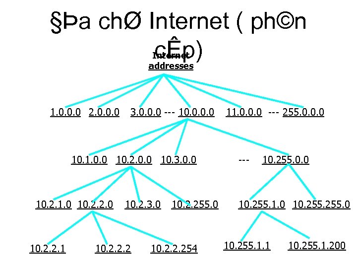 §Þa chØ Internet ( ph©n cÊp) Internet addresses 1. 0. 0. 0 2. 0.