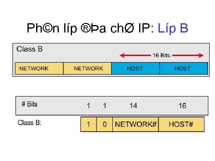 Ph©n líp ®Þa chØ IP: Líp B 