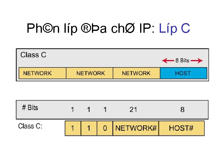 Ph©n líp ®Þa chØ IP: Líp C 