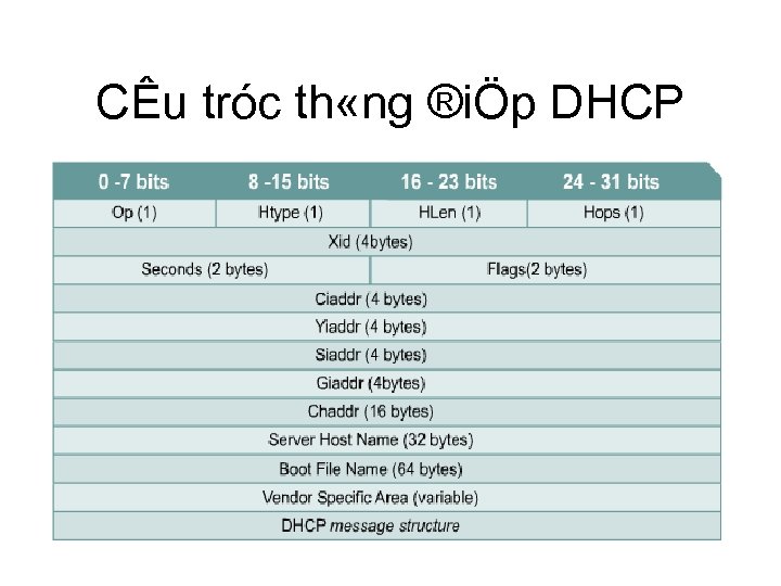 CÊu tróc th «ng ®iÖp DHCP 