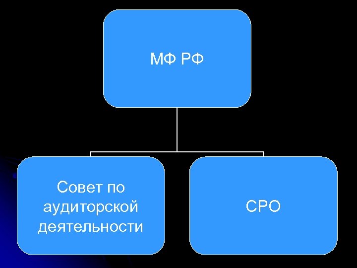 МФ РФ Совет по аудиторской деятельности СРО 