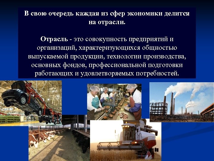 В свою очередь каждая из сфер экономики делится на отрасли. Отрасль - это совокупность