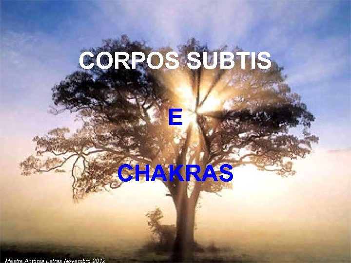 CORPOS SUBTIS E CHAKRAS Mestre Antónia Letras Novembro 2012 