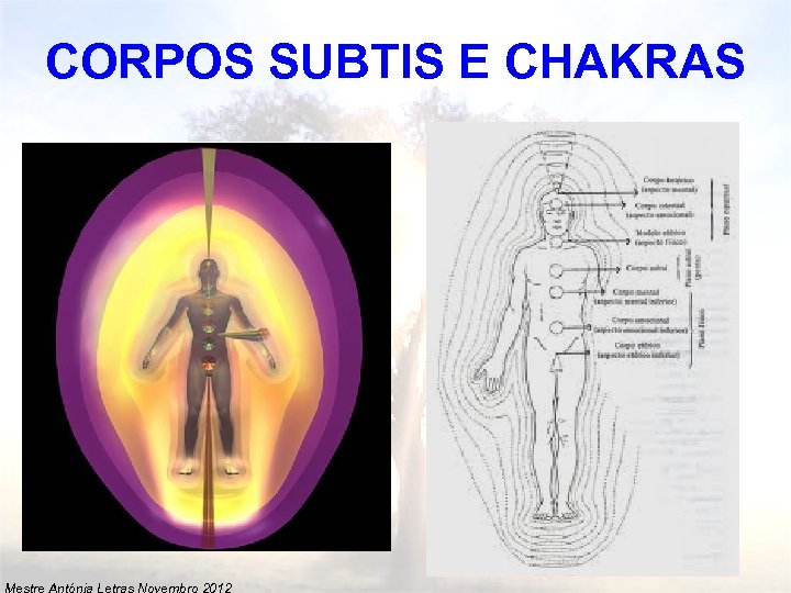 CORPOS SUBTIS E CHAKRAS Mestre Antónia Letras Novembro 2012 