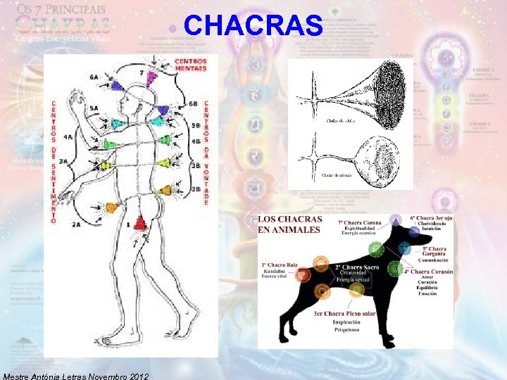 CHACRAS Mestre Antónia Letras Novembro 2012 