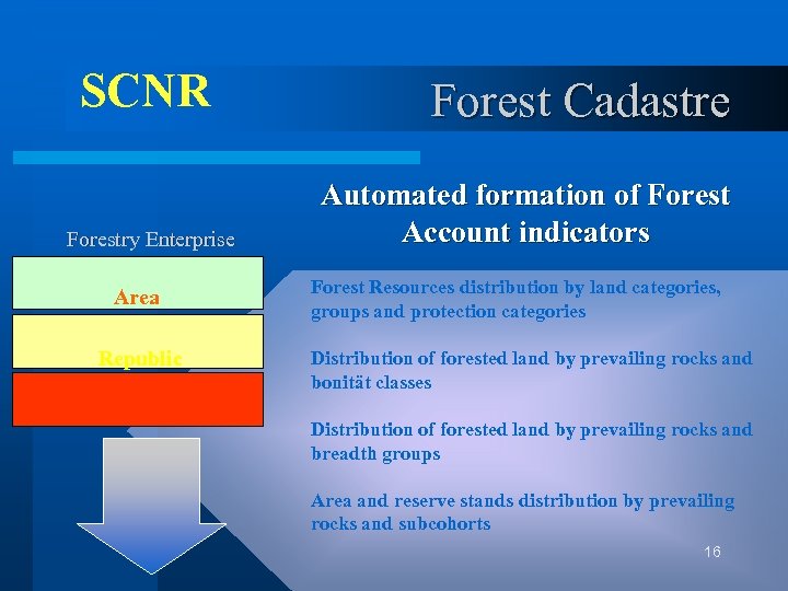 SCNR Forestry Enterprise Area Republic Forest Cadastre Automated formation of Forest Account indicators Forest