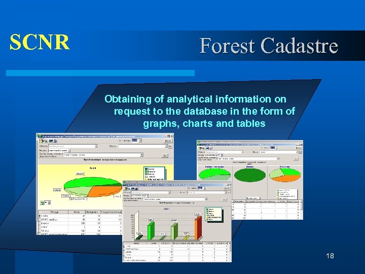SCNR Forest Cadastre Obtaining of analytical information on request to the database in the