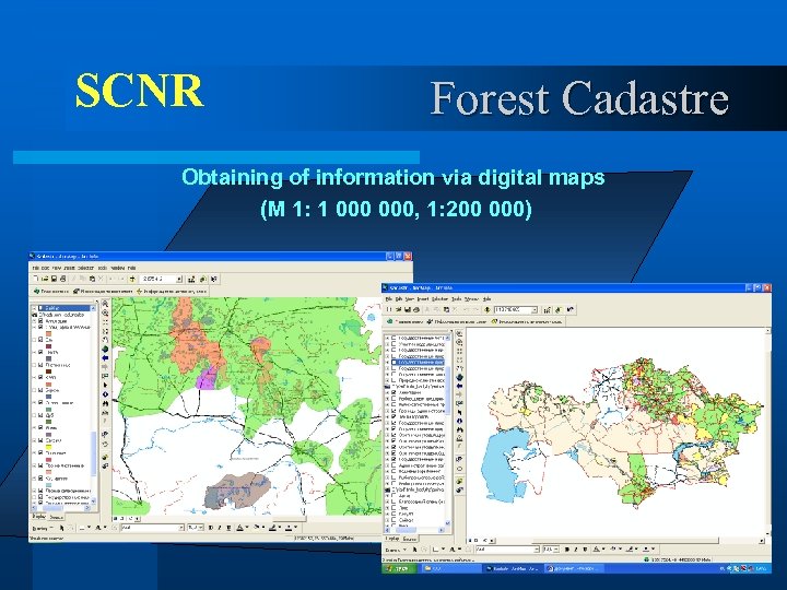 SCNR Forest Cadastre Obtaining of information via digital maps (M 1: 1 000, 1: