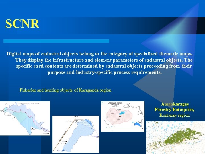 SCNR Digital maps of cadastral objects belong to the category of specialized thematic maps.