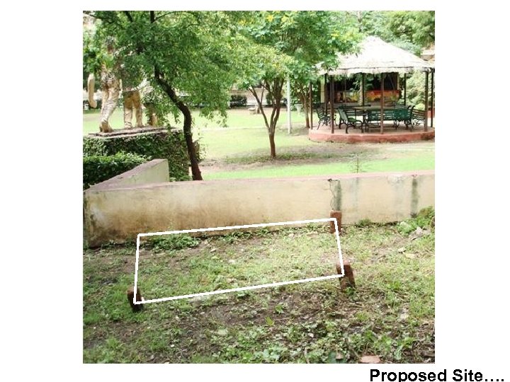 Proposed Site…. 