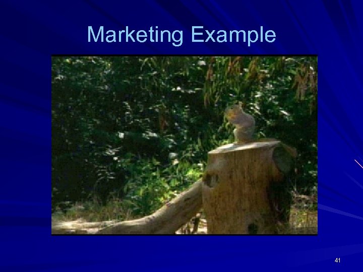Marketing Example 41 