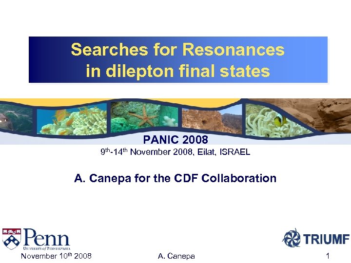 Searches for Resonances in dilepton final states PANIC 2008 9 th-14 th November 2008,
