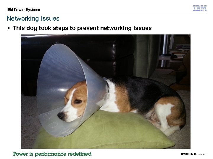 IBM Power Systems Networking Issues § This dog took steps to prevent networking issues