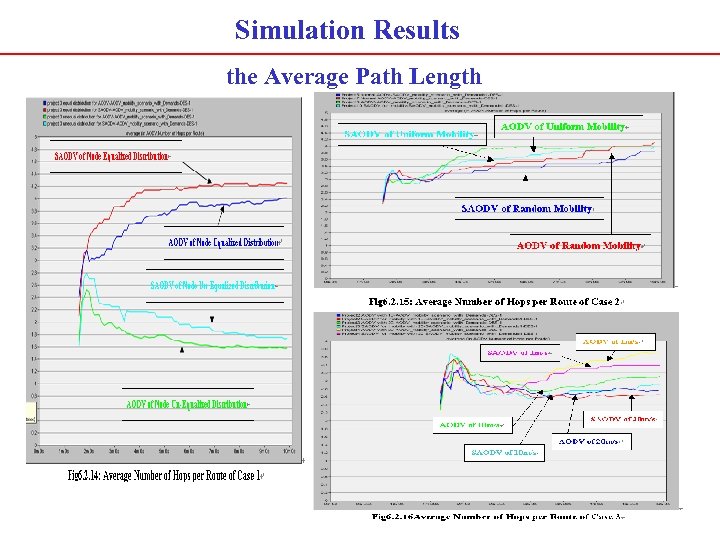 Simulation Results the Average Path Length 