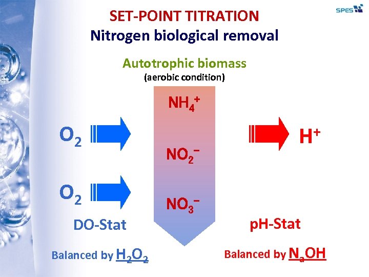 SET-POINT TITRATION Nitrogen biological removal Autotrophic biomass (aerobic condition) NH 4+ O 2 DO-Stat
