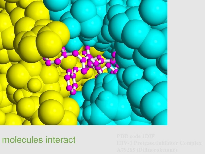 molecules interact PDB code 1 DIF HIV-1 Protease/Inhibitor Complex A 79285 (Difluoroketone) 