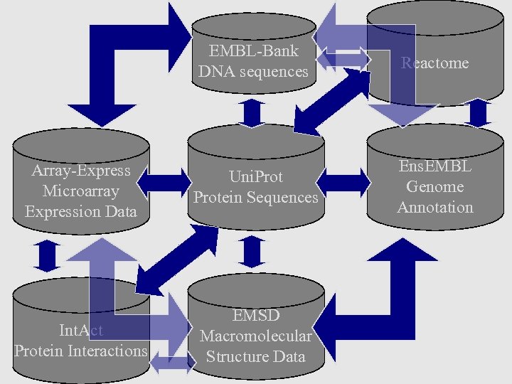 EMBL-Bank DNA sequences Reactome Array-Express Microarray Expression Data Uni. Protein Sequences Ens. EMBL Genome