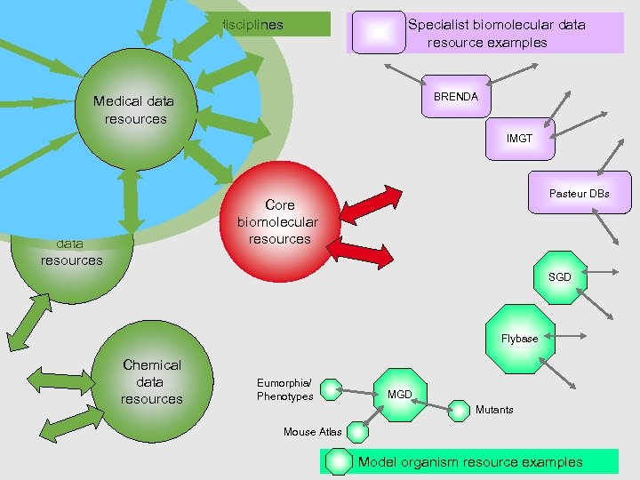 Large resources in related disciplines Specialist biomolecular data resource examples BRENDA Medical data resources
