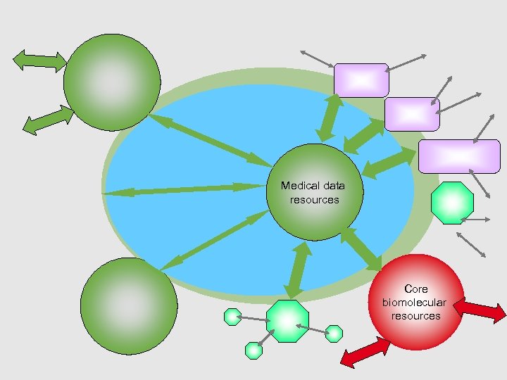 Medical data resources Core biomolecular resources 
