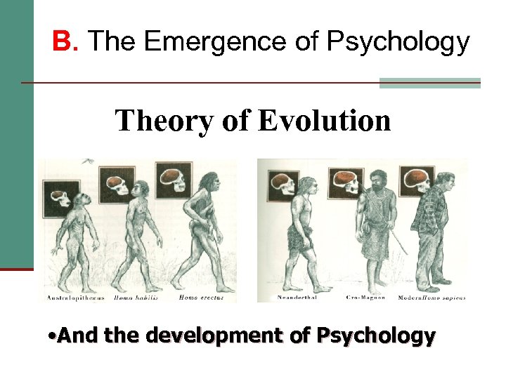 B. The Emergence of Psychology Theory of Evolution • And the development of Psychology