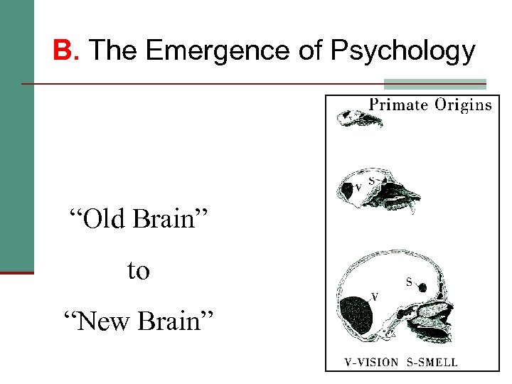 B. The Emergence of Psychology “Old Brain” to “New Brain” 