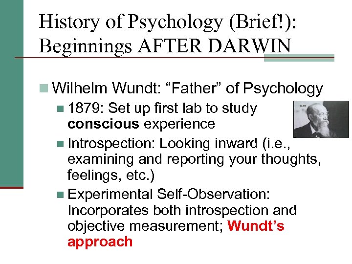 History of Psychology (Brief!): Beginnings AFTER DARWIN n Wilhelm Wundt: “Father” of Psychology n