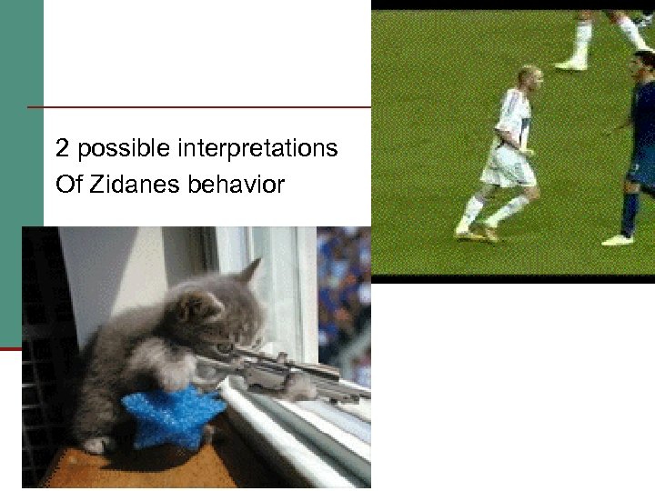 2 possible interpretations Of Zidanes behavior 