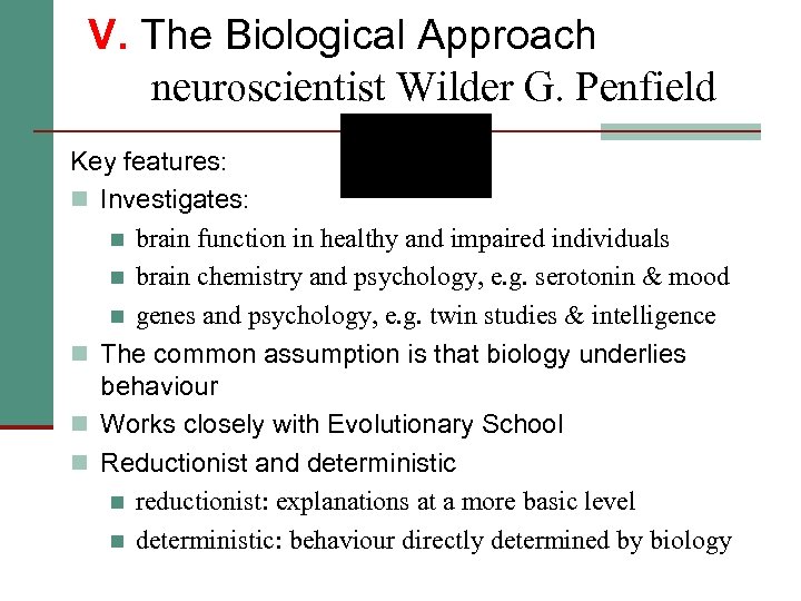 V. The Biological Approach neuroscientist Wilder G. Penfield Key features: n Investigates: n brain
