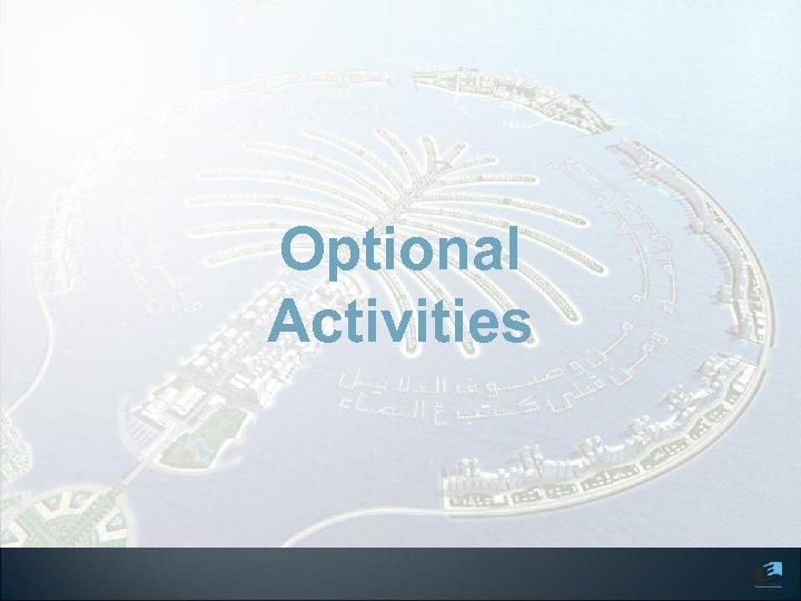 Optional Activities 