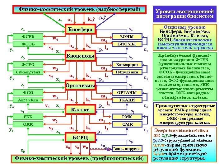 Физико-космический уровень (надбиосферный) x 5 z 4 y 4 ФСОБ w 4 v 4