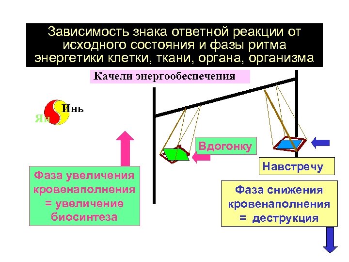 Зависимость знака ответной реакции от исходного состояния и фазы ритма энергетики клетки, ткани, органа,