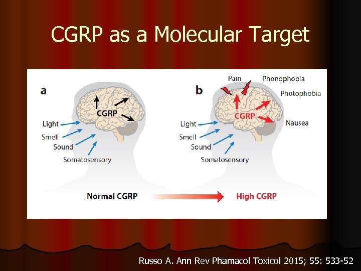 CGRP as a Molecular Target Russo A. Ann Rev Phamacol Toxicol 2015; 55: 533