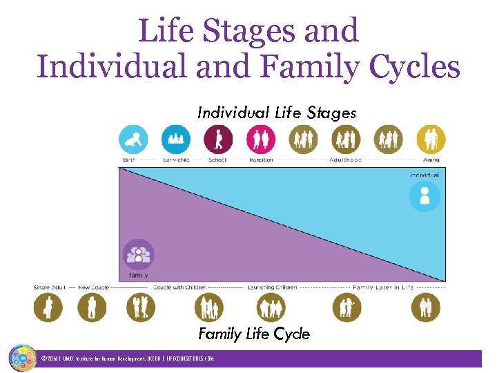 Life Stages and Individual and Family Cycles Individual Life Stages Family Life Cycle ©