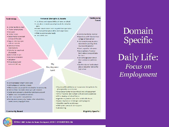 Domain Specific Daily Life: Focus on Employment © 2016| UMKC Institute for Human Development,