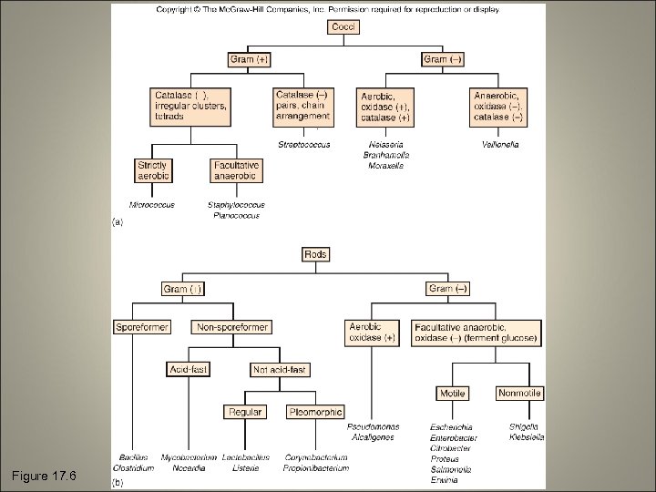 Figure 17. 6 