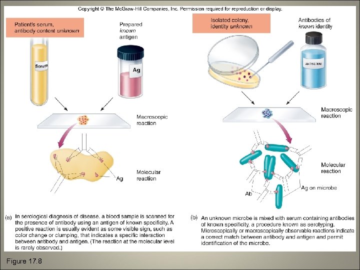 Figure 17. 8 