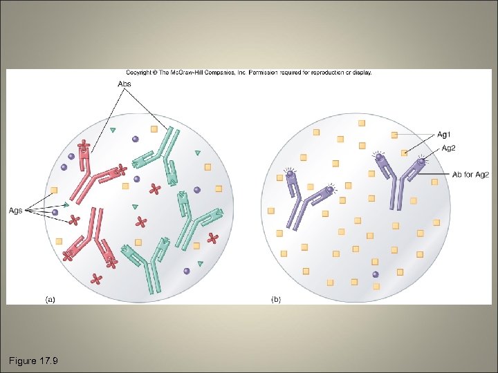 Figure 17. 9 