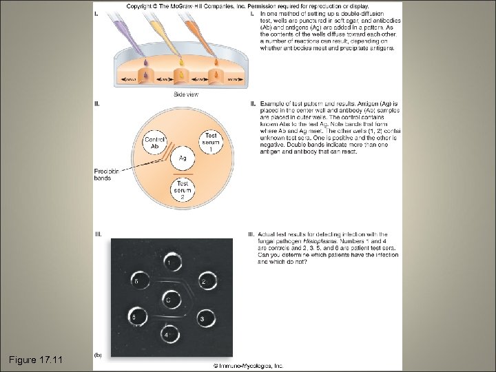 Figure 17. 11 