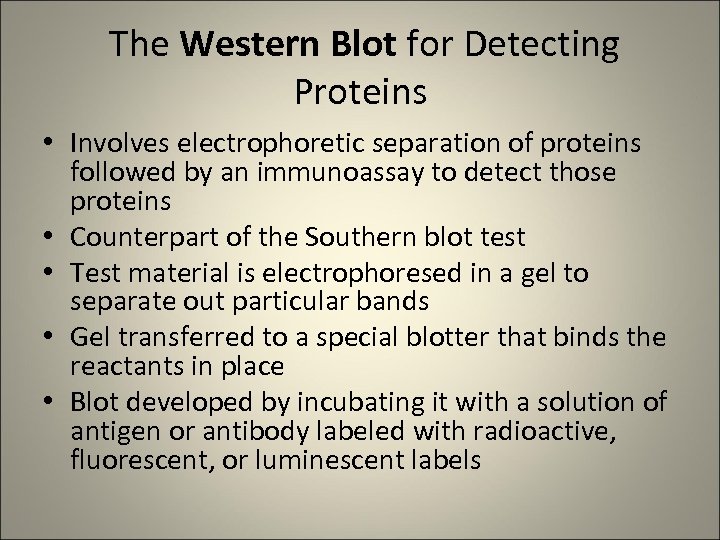 The Western Blot for Detecting Proteins • Involves electrophoretic separation of proteins followed by