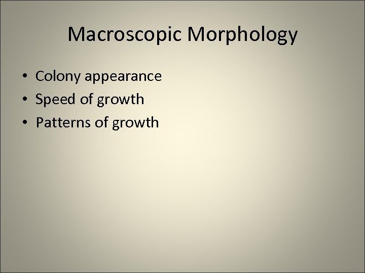 Macroscopic Morphology • Colony appearance • Speed of growth • Patterns of growth 