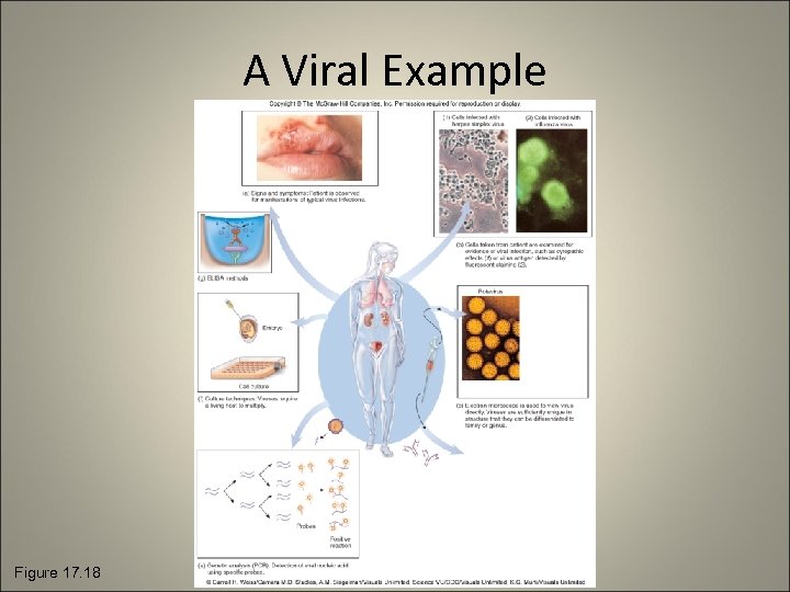 A Viral Example Figure 17. 18 