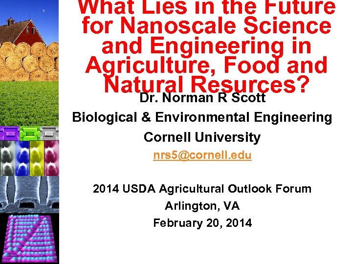 What Lies in the Future for Nanoscale Science and Engineering in Agriculture, Food and