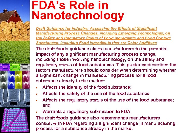 FDA’s Role in Nanotechnology Draft Guidance for Industry: Assessing the Effects of Significant Manufacturing