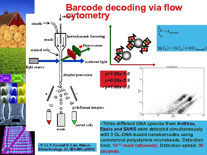 Barcode decoding via flow cytometry Fy=1. 06 x-5. 0 Fy=0. 99 x-5. 9 Fy=1.