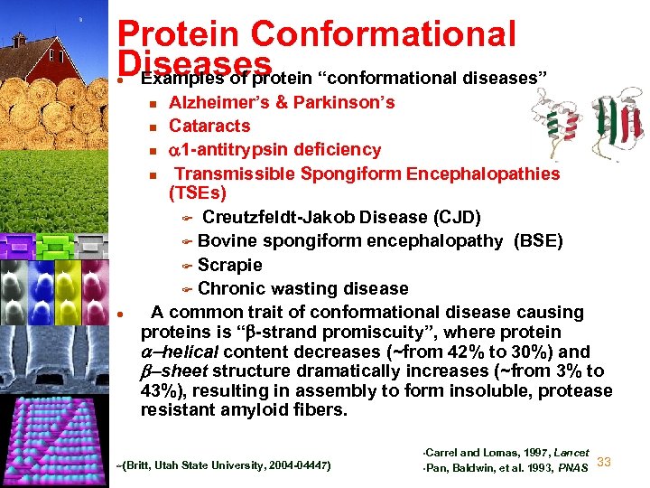 Protein Conformational Diseases Examples of protein “conformational diseases” l Alzheimer’s & Parkinson’s n Cataracts