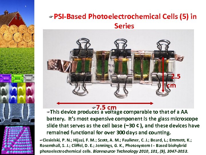 F PSI-Based Photoelectrochemical Cells (5) in Series 2. 5 cm F F 7. 5