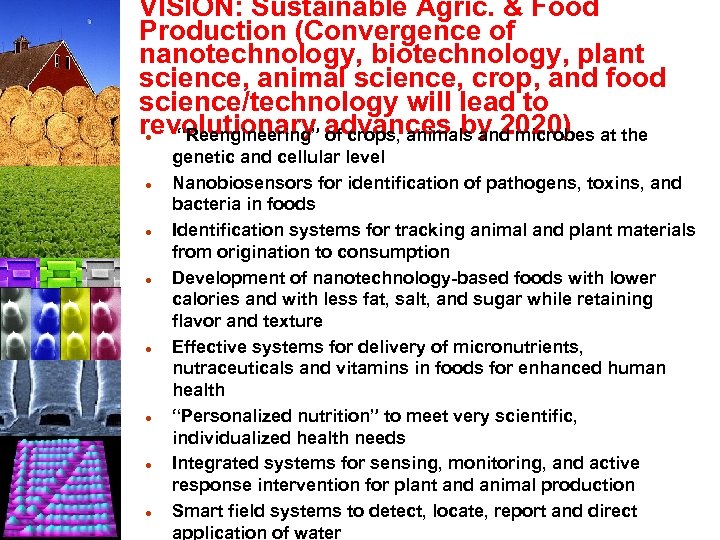 VISION: Sustainable Agric. & Food Production (Convergence of nanotechnology, biotechnology, plant science, animal science,