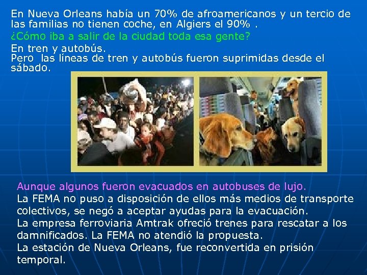 En Nueva Orleans había un 70% de afroamericanos y un tercio de las familias