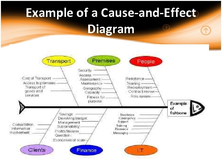 Example of a Cause-and-Effect Diagram 