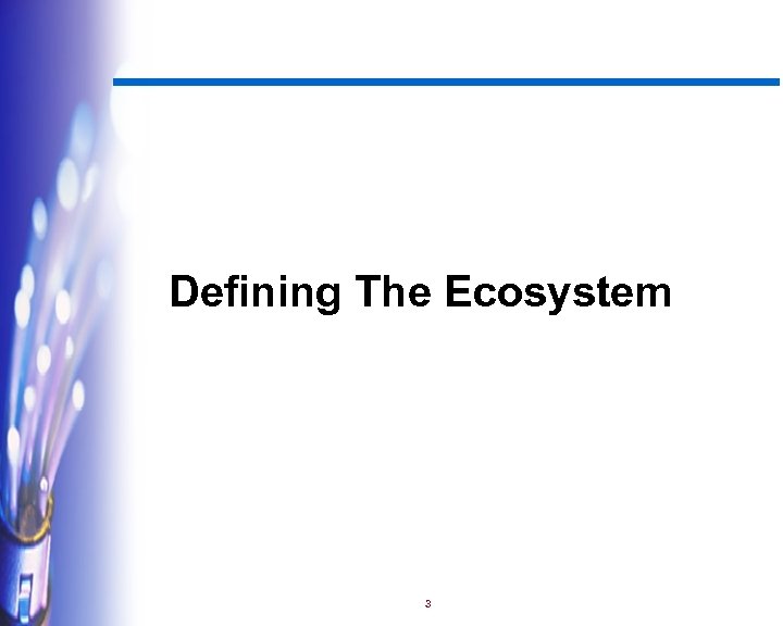 Defining The Ecosystem 3 